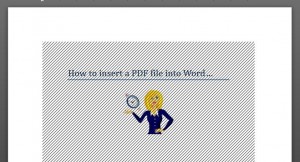 pdf in Word document