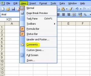 Excel 2003 View