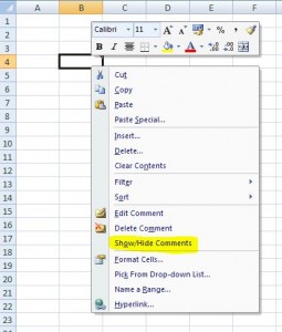 Excel 2007 show comment