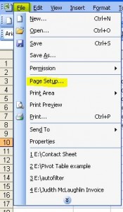 Excel 2003 File
