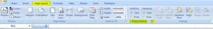 Excel 2007 Sheet Options
