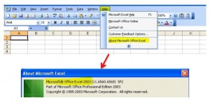 Microsoft Office 2003