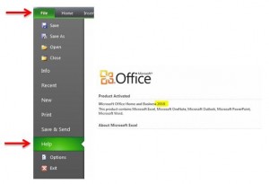 Microsoft Office 2010