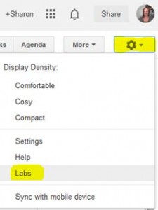 Google calendar labs