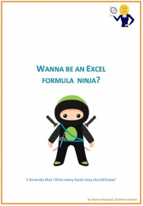 excel formula ninja